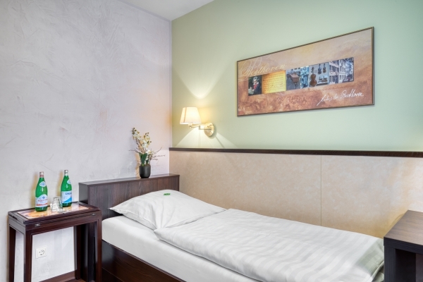 Hotel Am Braunen Hirsch